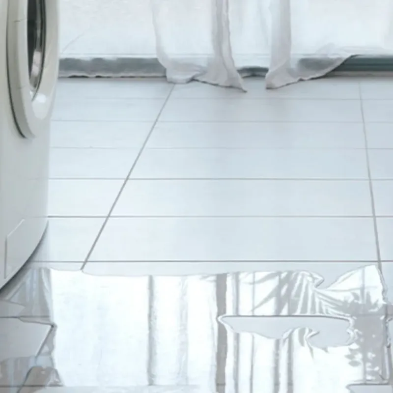 Appliance Leak Cleanup in Marshallville, GA