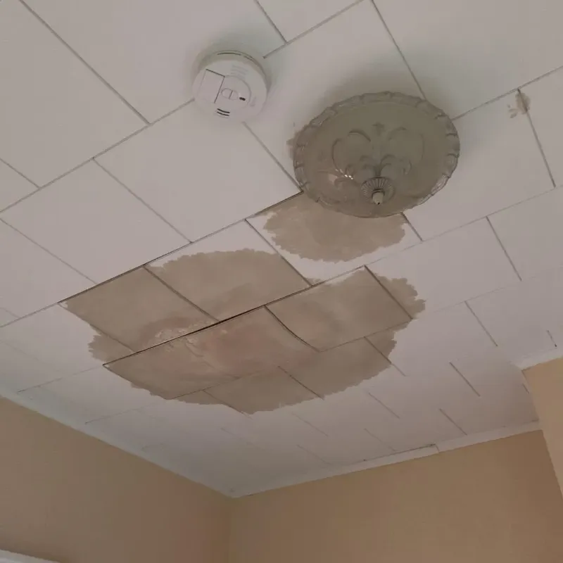 Ceiling Water Damage Repair in Marshallville, GA