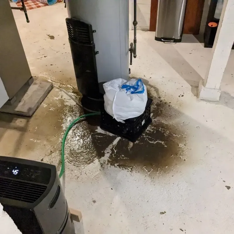Sewage Backup Cleanup Service in Marshallville, GA